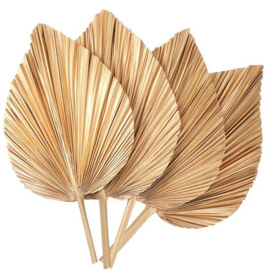 Kuru Palmiye Yaprağı