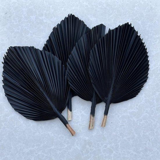 Kuru Palmiye Yaprağı