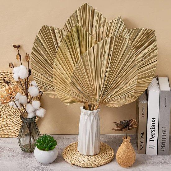 Kuru Palmiye Yaprağı