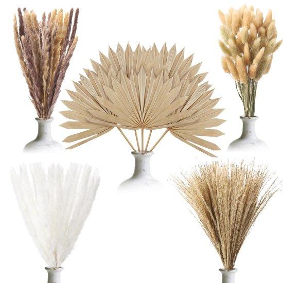 Kuru Palmiye Yaprağı