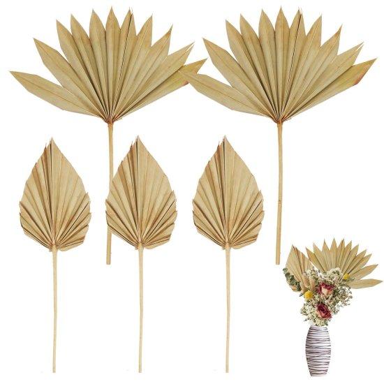 Kuru Palmiye Yaprağı