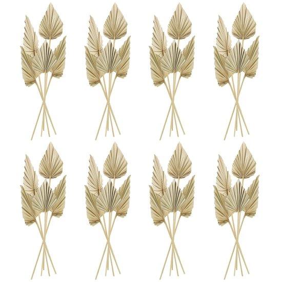 Kuru Palmiye Yaprağı