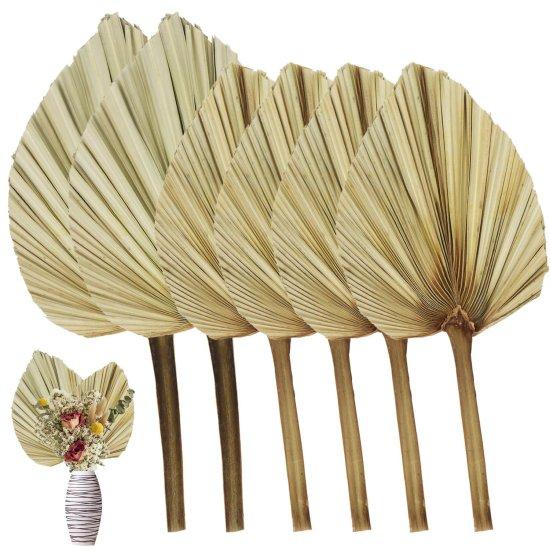 Kuru Palmiye Yaprağı