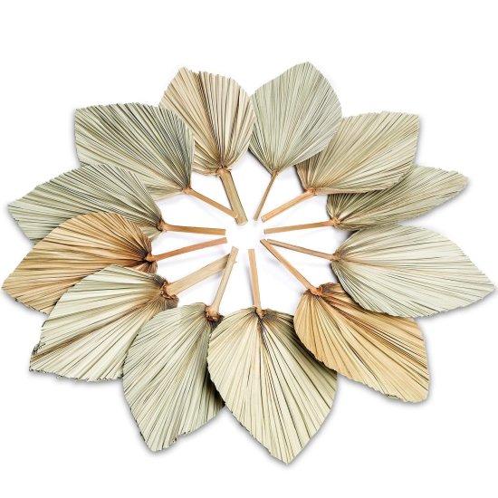 Kuru Palmiye Yaprağı