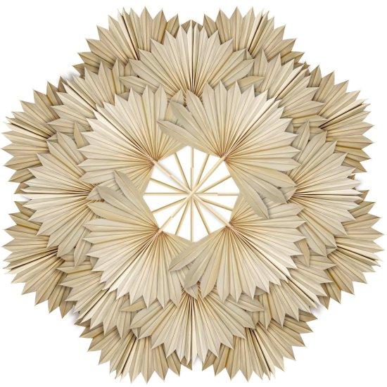 Kuru Palmiye Yaprağı