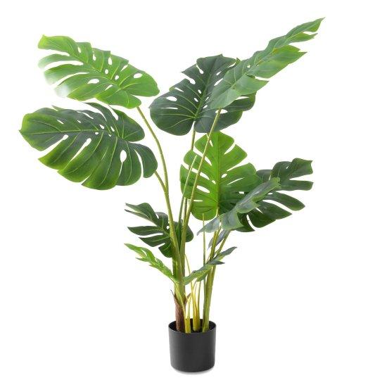 Yapay Monstera