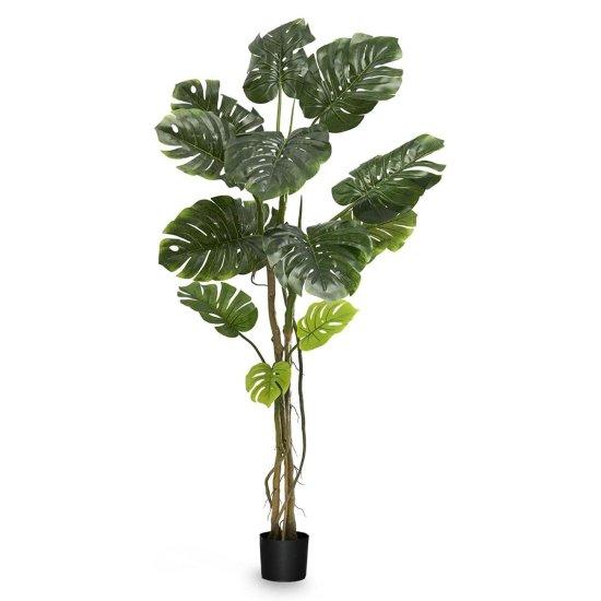 Yapay Monstera