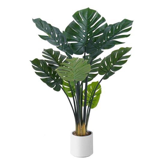 Yapay Monstera