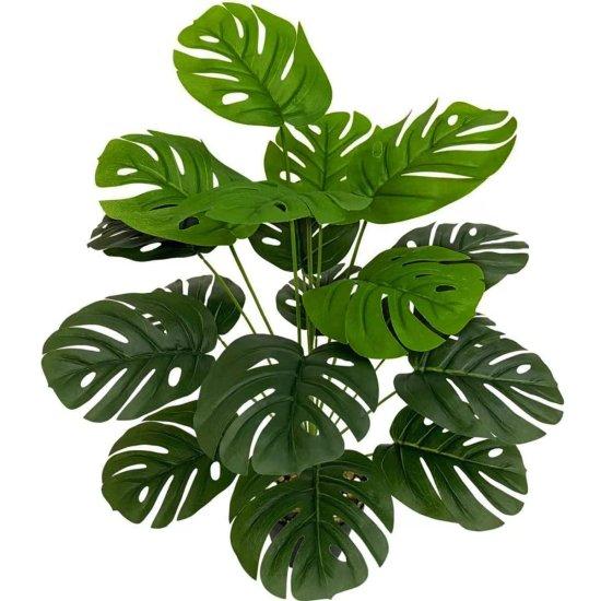 Yapay Monstera