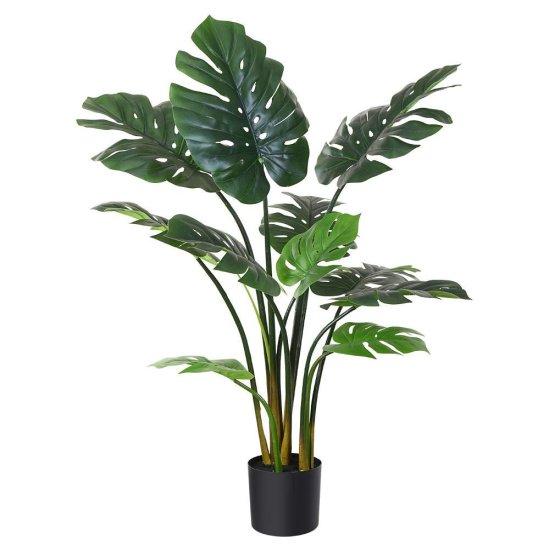 Yapay Monstera