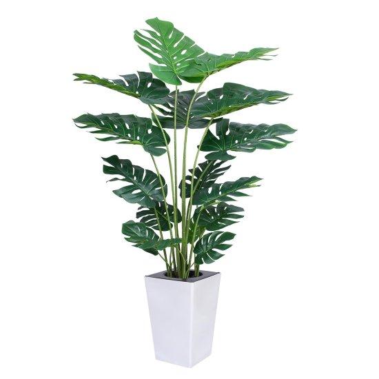 Yapay Monstera