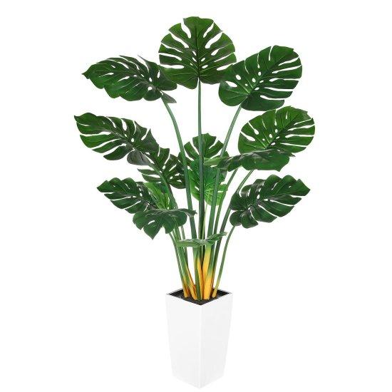 Yapay Monstera