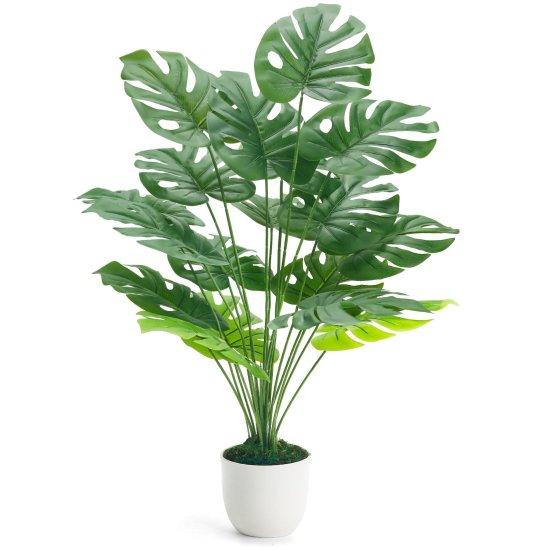 Yapay Monstera