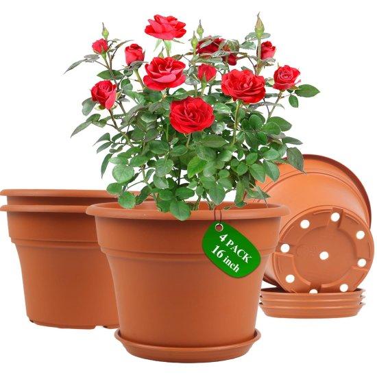 30 Cm Saksı