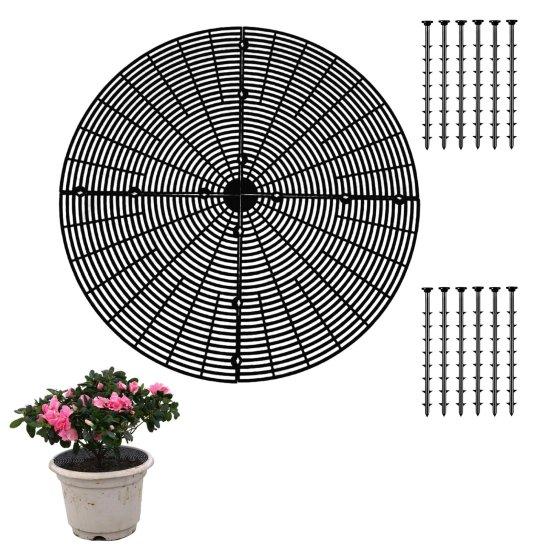 30 Cm Saksı