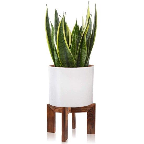 30 Cm Saksı