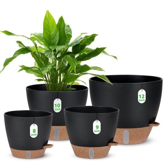 5 Litre Saksı