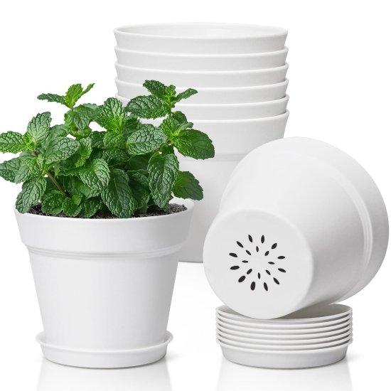 5 Litre Saksı