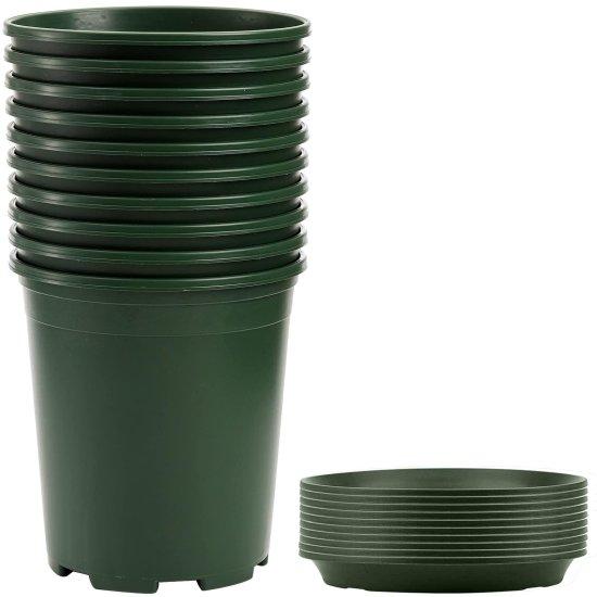5 Litre Saksı