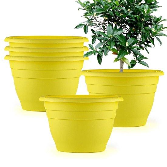 5 Litre Saksı