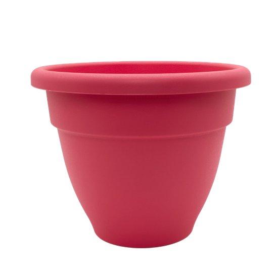 5 Litre Saksı