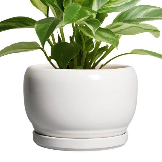 Beyaz Seramik Saksı