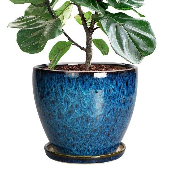 Büyük Çömlek Saksı