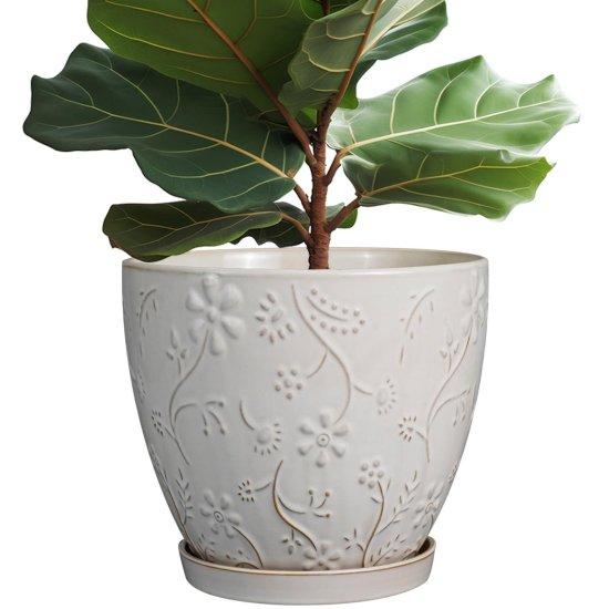 Büyük Çömlek Saksı