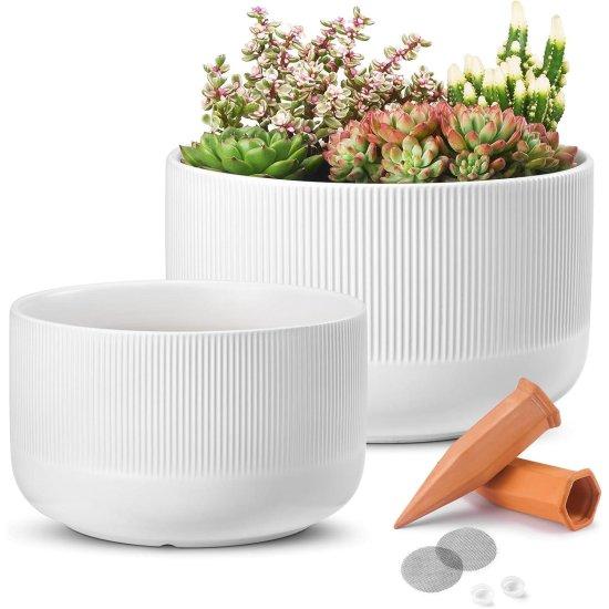 Büyük Çömlek Saksı