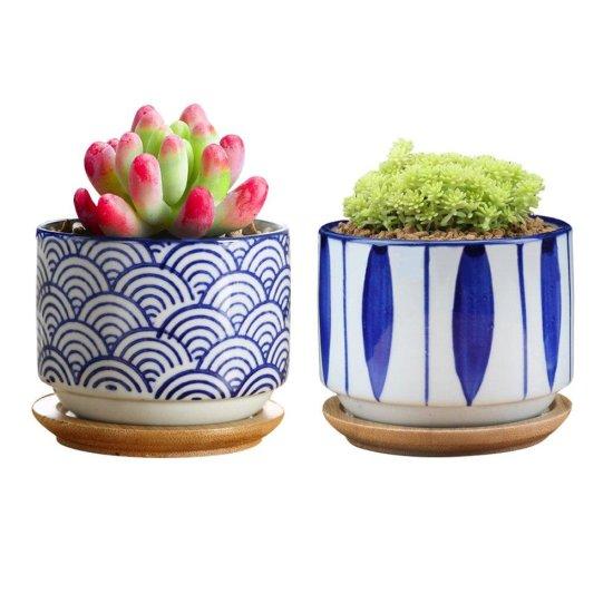 Dekoratif Kaktüs Saksıları