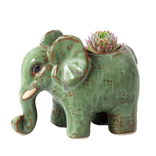 Dekoratif Kaktüs Saksıları