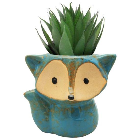 Dekoratif Kaktüs Saksıları