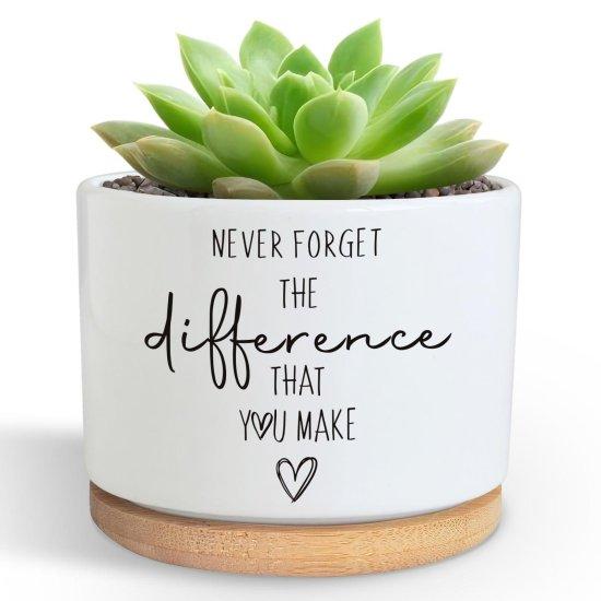 Dekoratif Kaktüs Saksıları