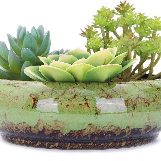 Dekoratif Kaktüs Saksıları