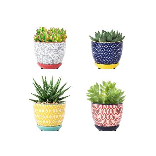 Dekoratif Kaktüs Saksıları