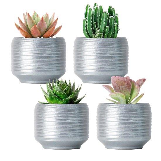 Dekoratif Kaktüs Saksıları