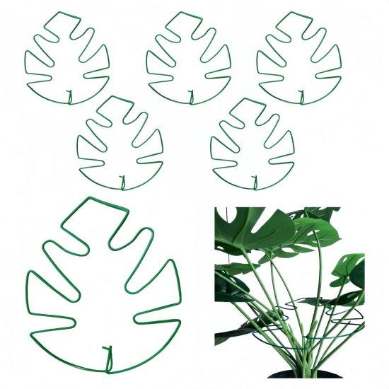 Deve Tabanı Saksısı