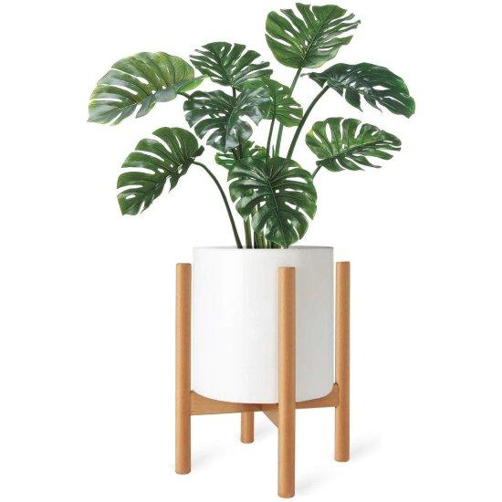 Deve Tabanı Saksısı