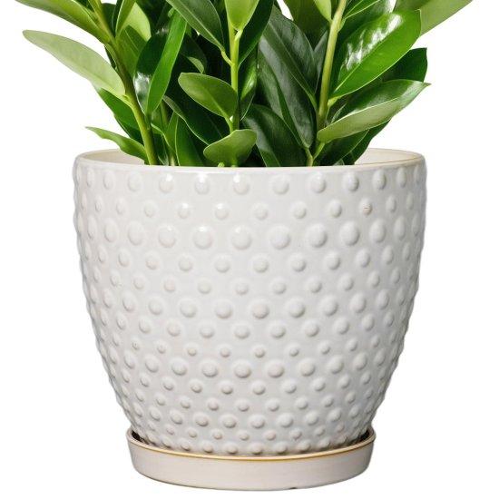 Porselen Saksı Büyük