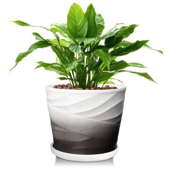 Porselen Saksı Büyük