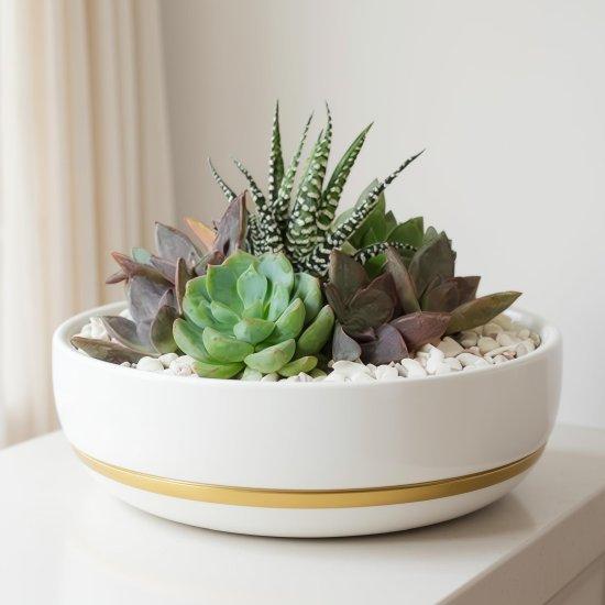 Sukulent Aranjman Saksısı