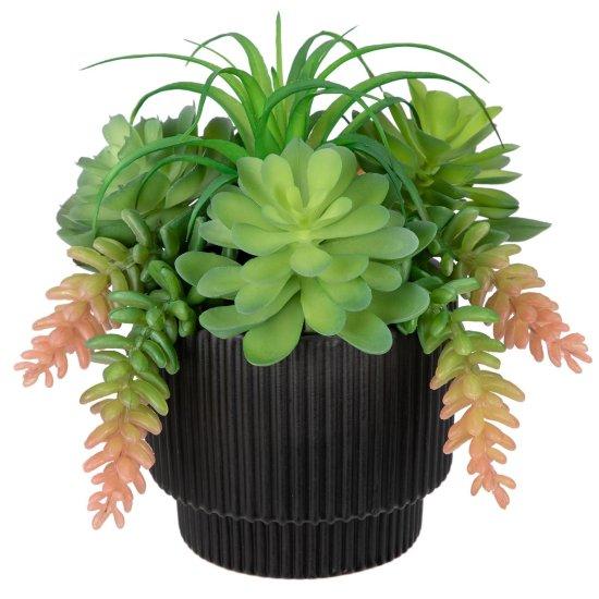 Sukulent Aranjman Saksısı