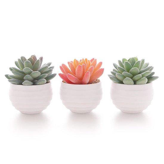 Sukulent Aranjman Saksısı