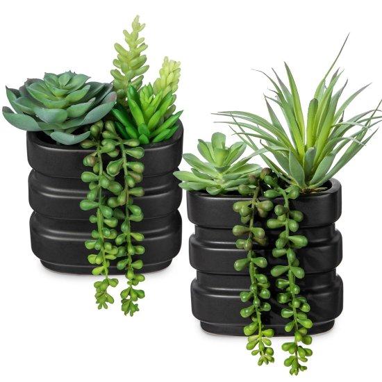 Sukulent Aranjman Saksısı