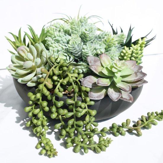 Sukulent Aranjman Saksısı