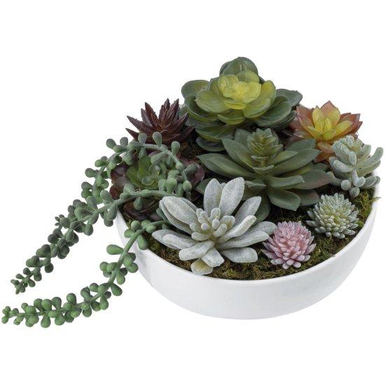Sukulent Aranjman Saksısı
