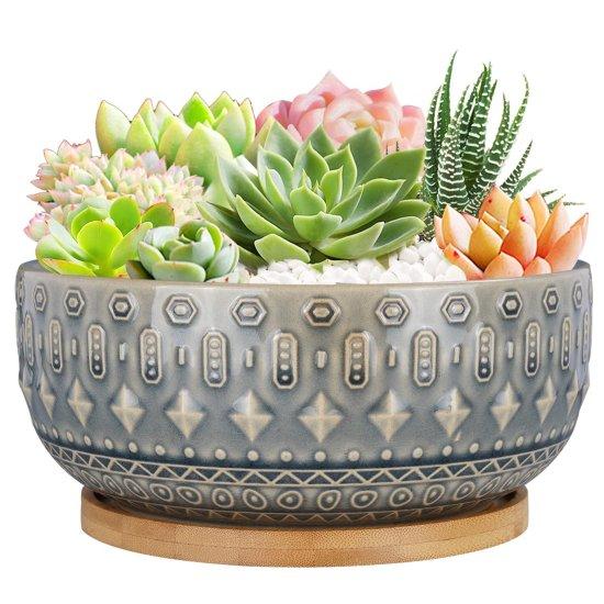 Sukulent Aranjman Saksısı