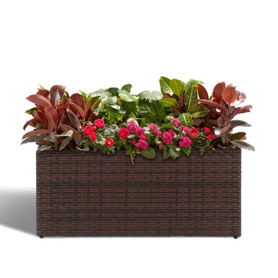 Uzun Balkon Saksısı