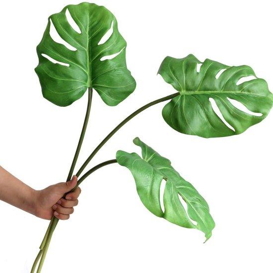 Uzun Yapraklı Çiçek