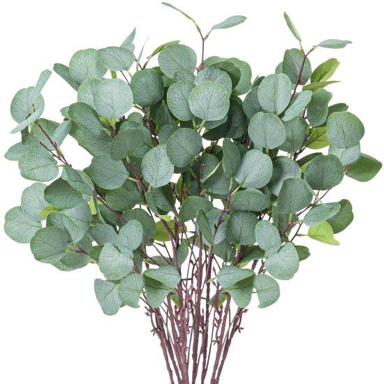 Uzun Yapraklı Çiçek